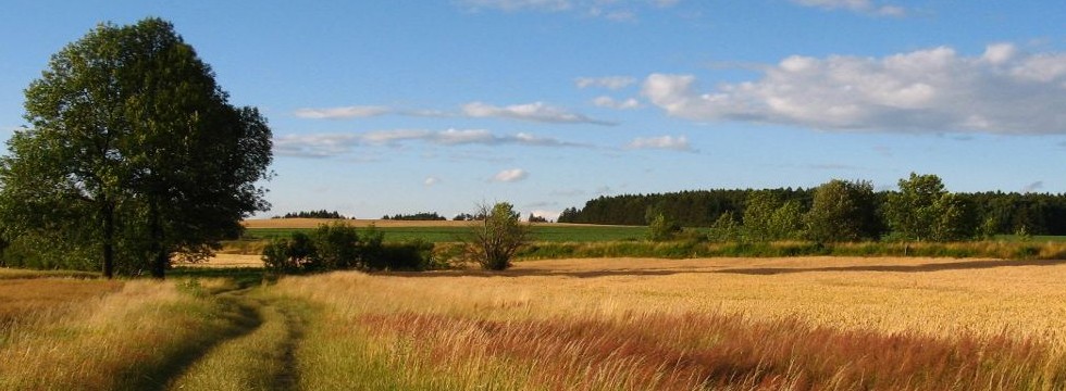 Paesaggio della campagna italiana