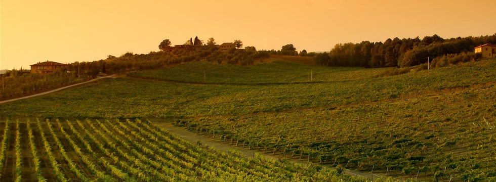 Vigneti italiani